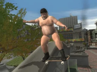 Tony Hawk's Underground 2 – Ze hry